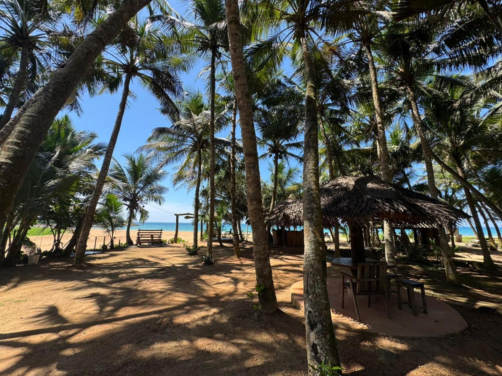Coconut Bar Hotel Bentota Exterior foto